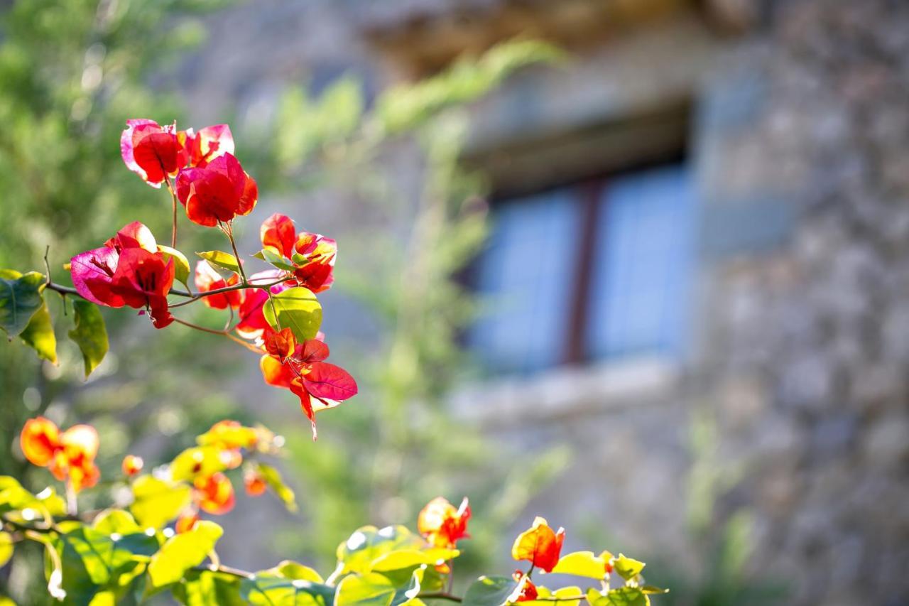 Filia Stone Villa Gouviá Extérieur photo